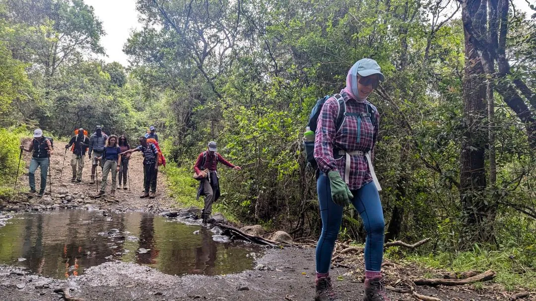 Mount Kilimanjaro trekking landscape